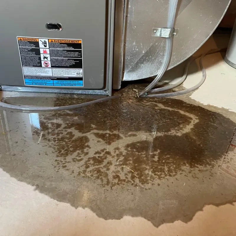 Appliance Leak Cleanup in Mescal, AZ